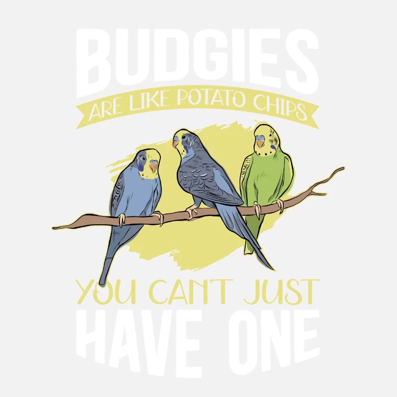 Cadeau de perruche du propriétaire de Budgerigar