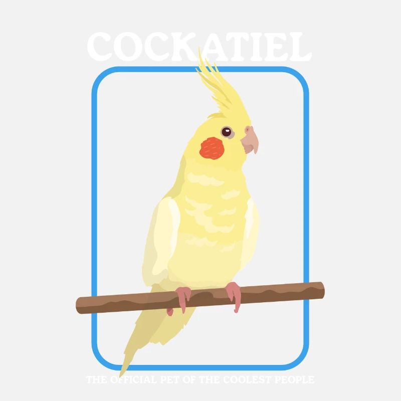 Nymphensittich Vogel Vogelbesitzer Geschenk