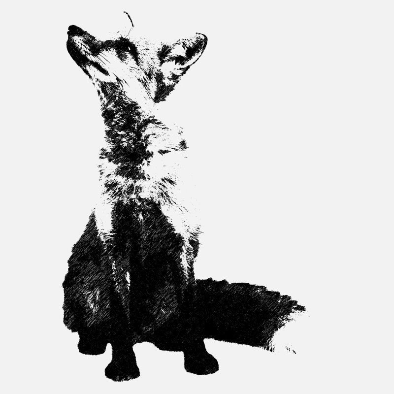 fuchs