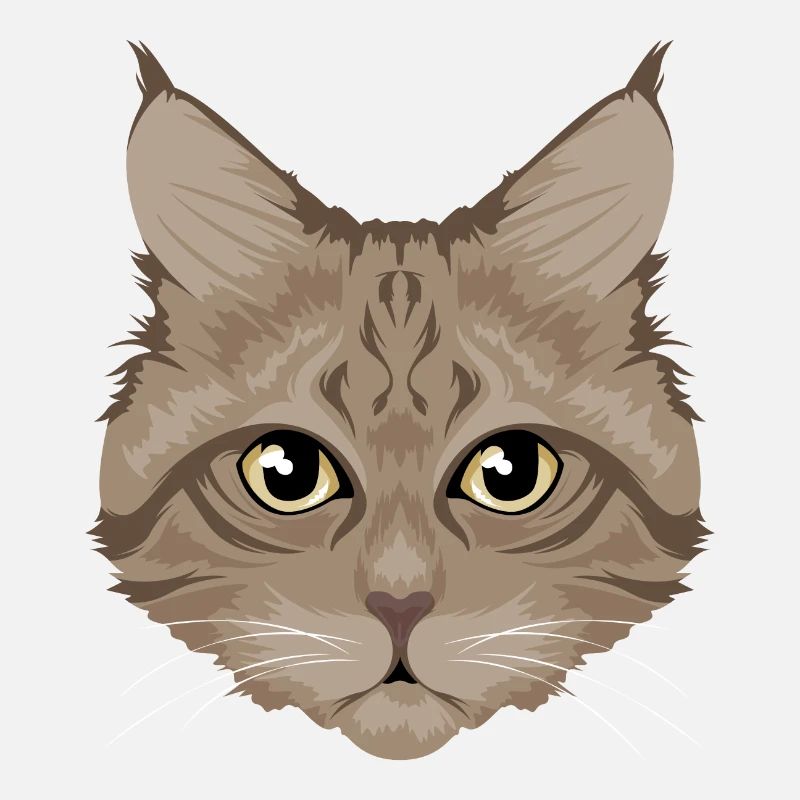 Chat / chat brun