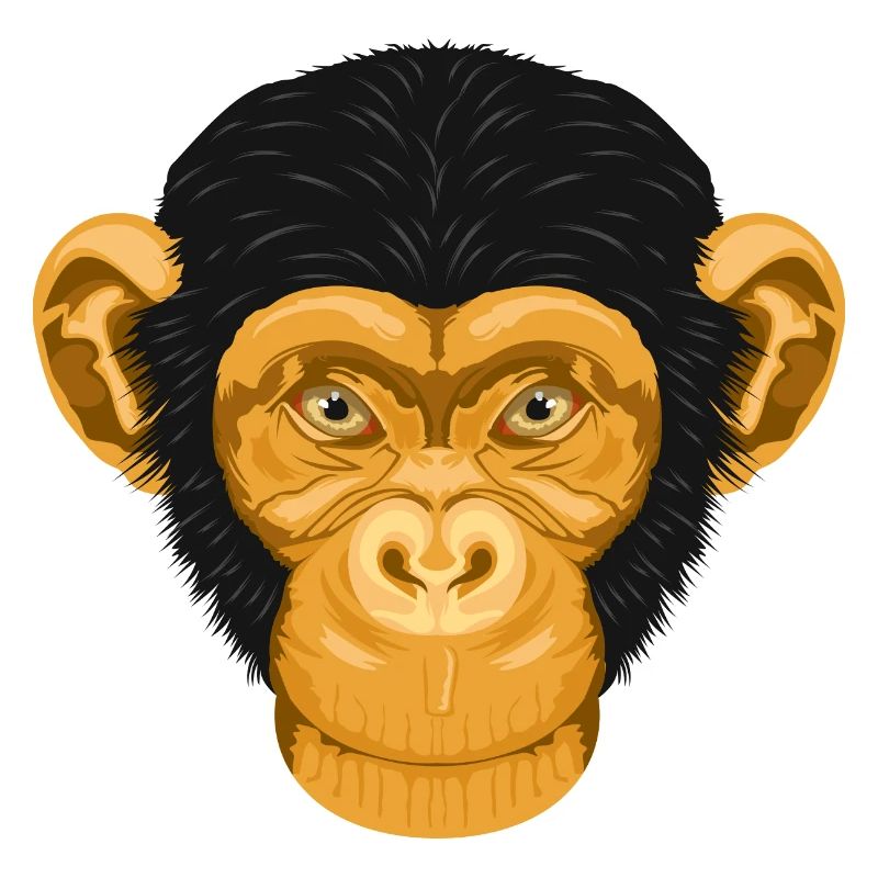 Affe Schimpanse Äffchen