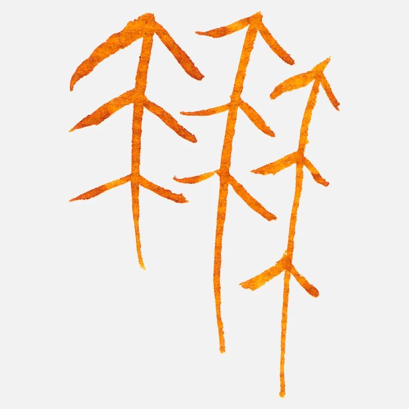 Fir Runes / Forest Symbol