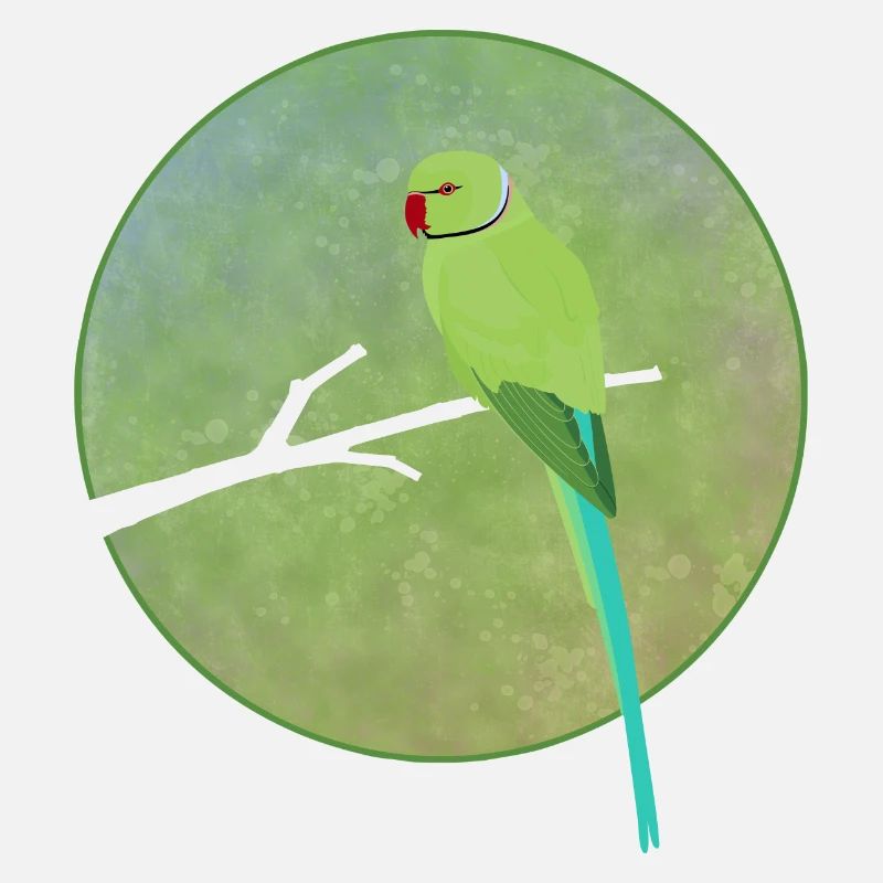 Collared Parakeet Alexander Parakeet Parakeet Parrot