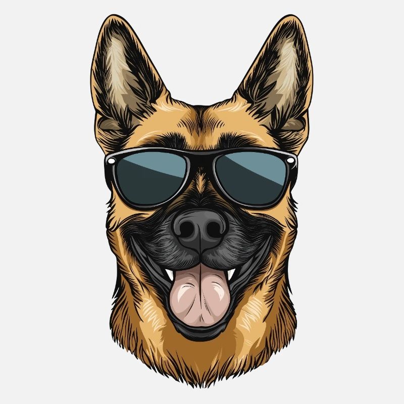 Malinois belgischer Schäferhund mit Sonnenbrille