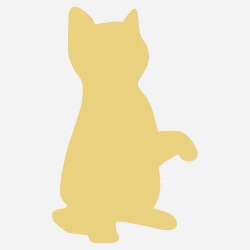 cat kitten