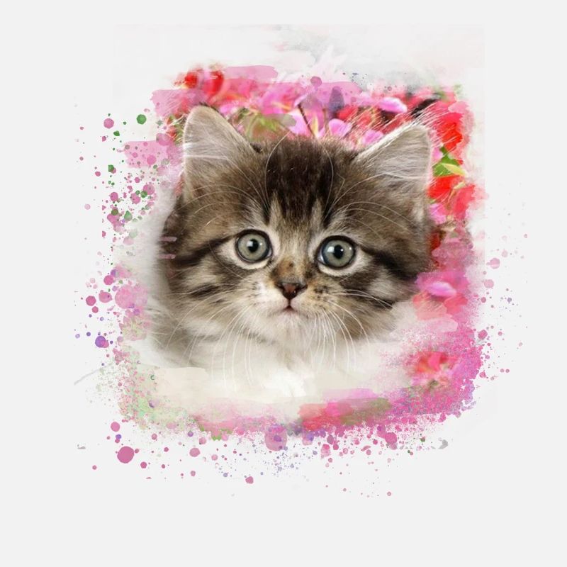 kitten,cat,graffiti,painting, Maine Coon cat,