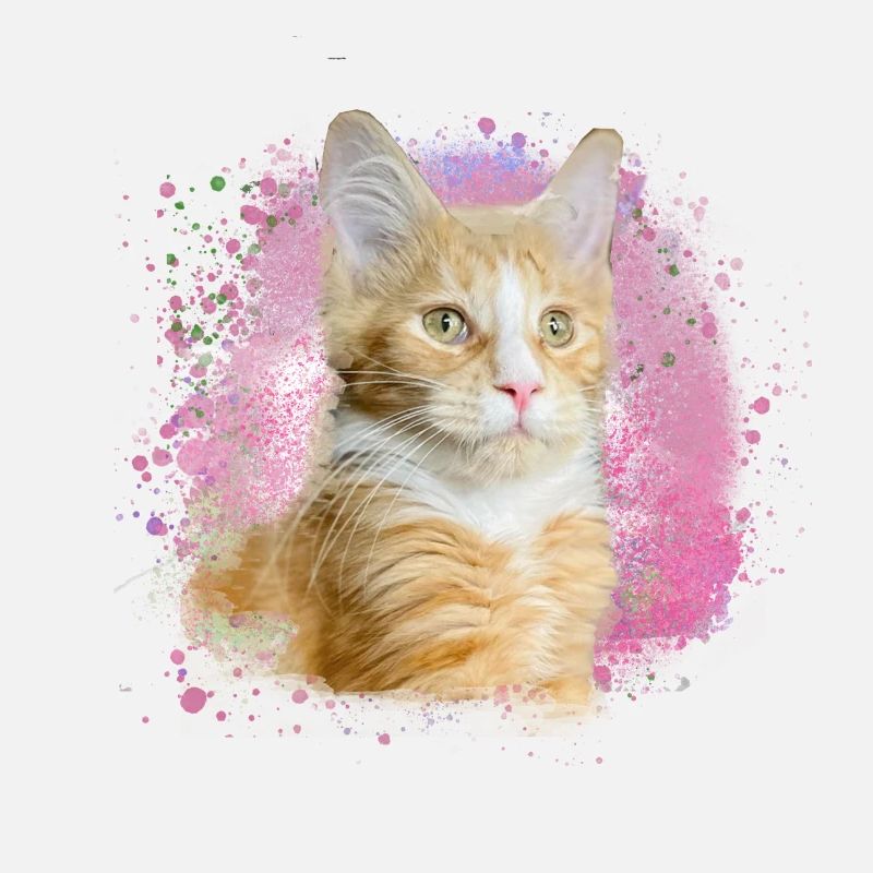 maincoon,cat,graffiti,painting, Maine Coon cat,