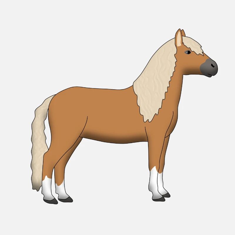 Haflinger