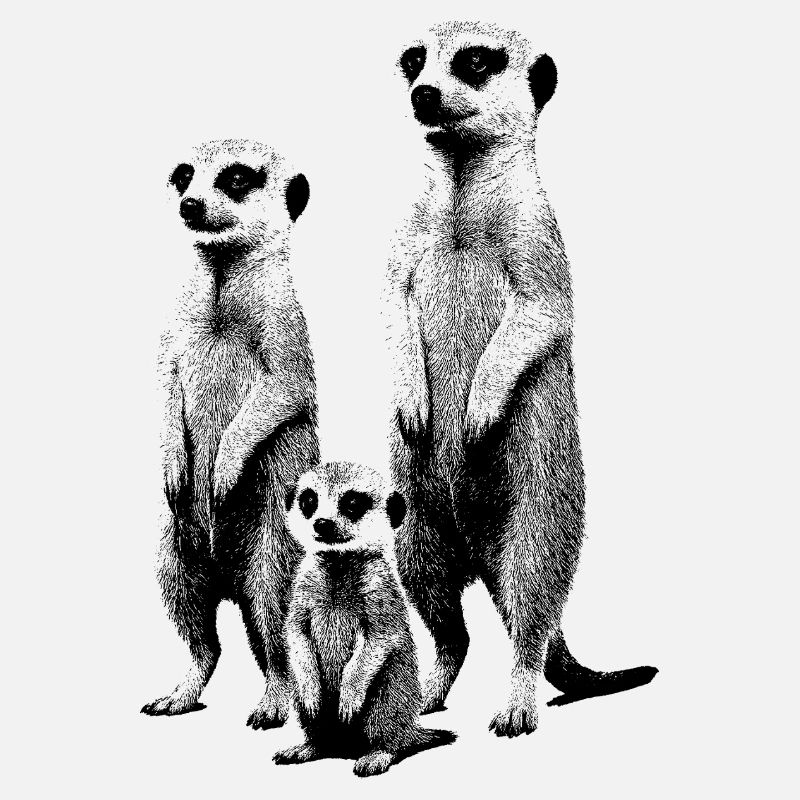 Meerkat dark (for light products)