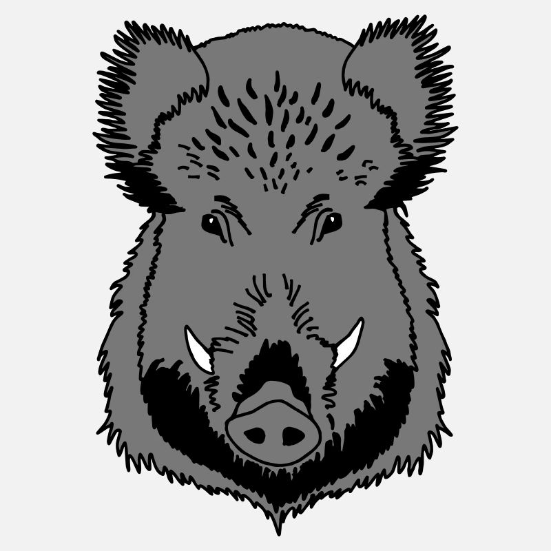 Wildschwein Kopf