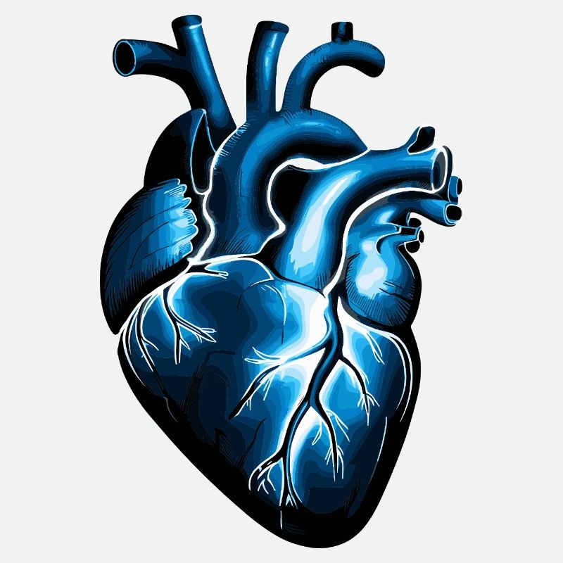 Anatomisches Herz in Blau mit Lebhaften Adern