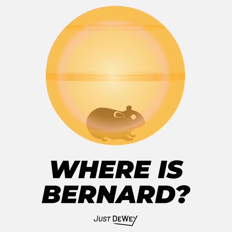 Where is Bernard ? Just Dewey - Hamster malcolm