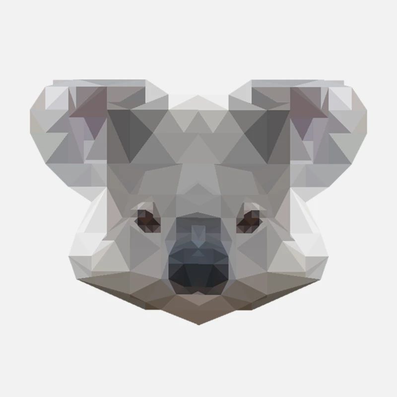 Mr Koala