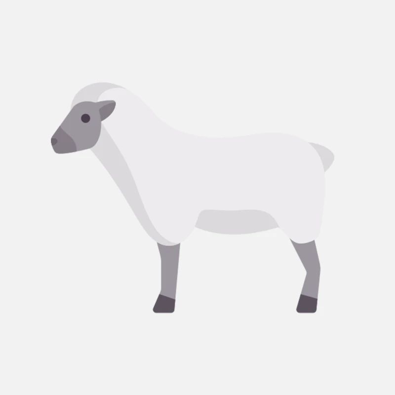 white cloud sheep