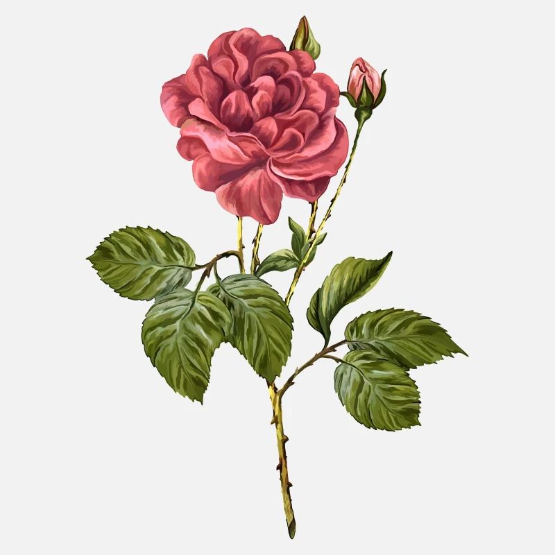 Fleur