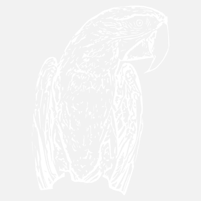 Perroquets Oiseau Blanc