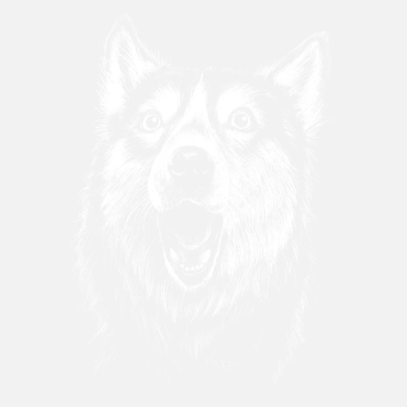 Dramatic Husky