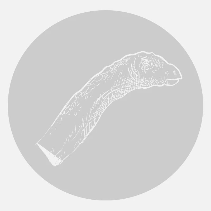 Long-neck Dino dinosaur dinosaur