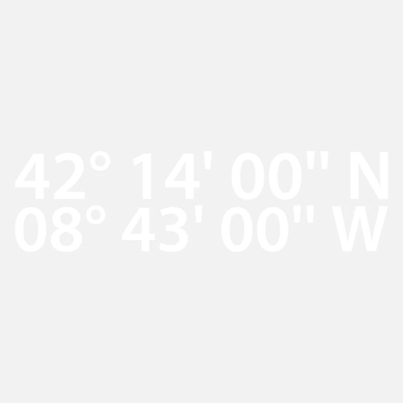 Vigo Coordinates