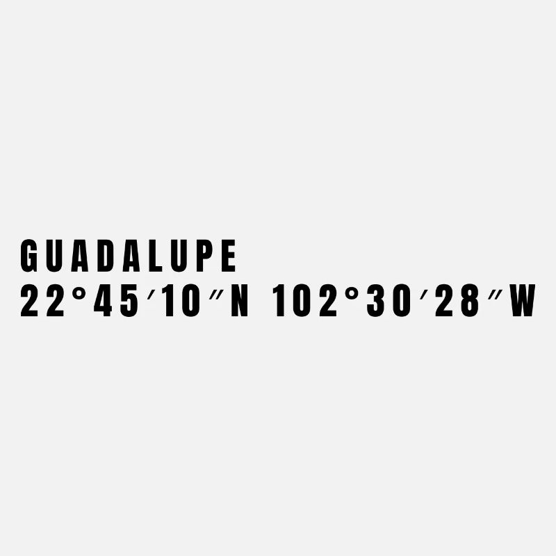 Zacatecas, Mexico Coordinates