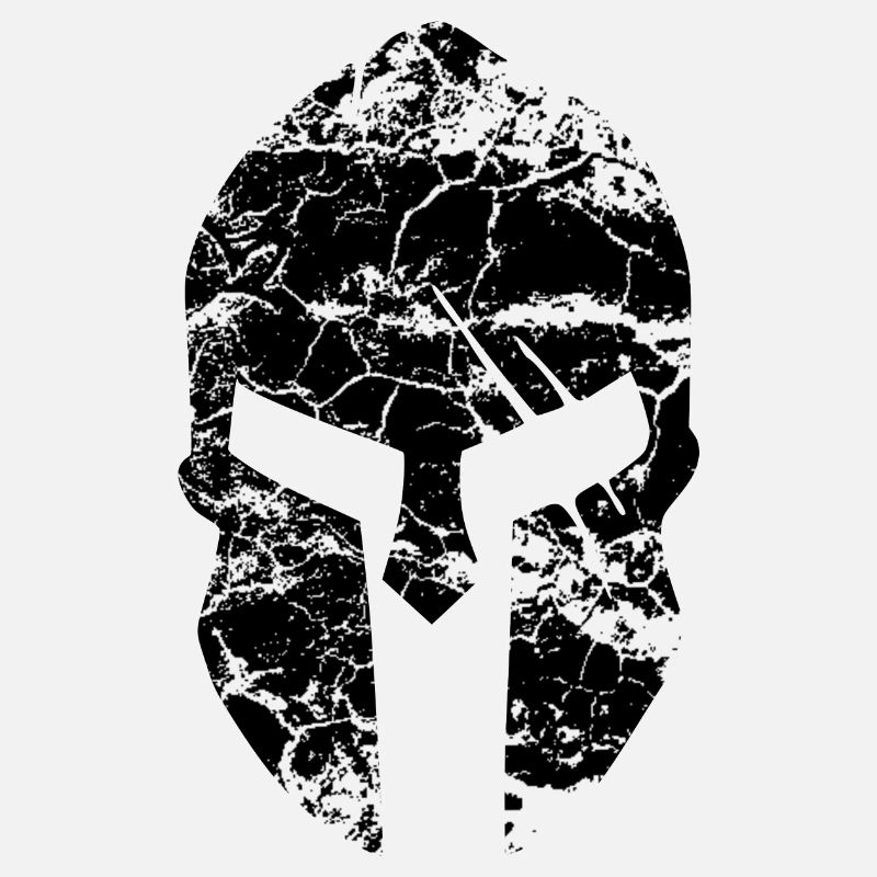 spartan helmet new