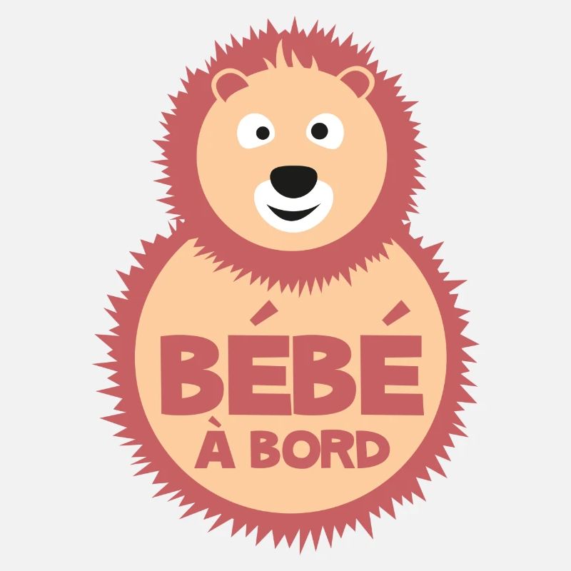 bébé à bord ours