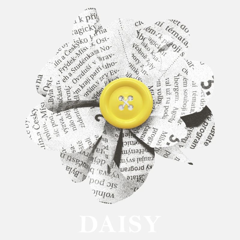 Daisy Flower