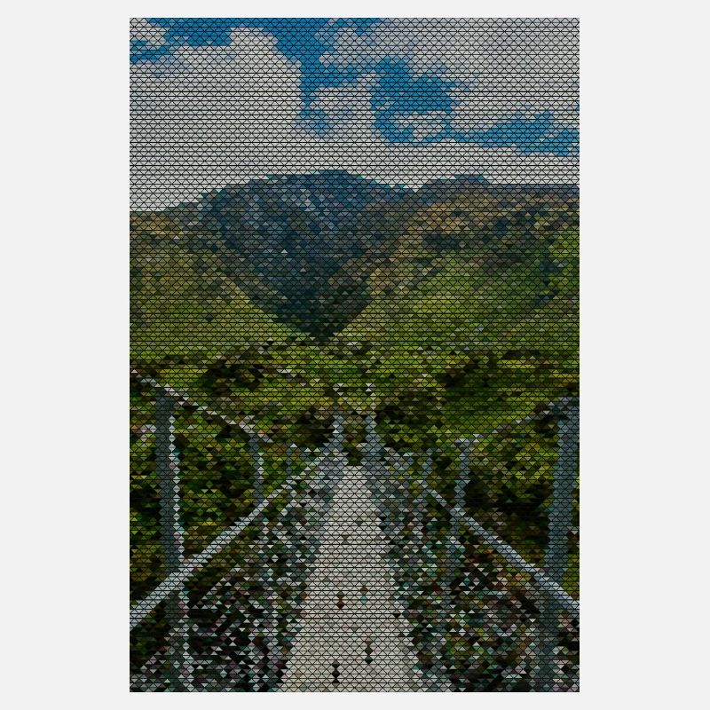 Grid path in the vineyard panorama
