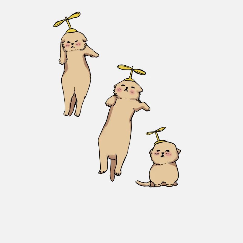 Kittens Helicopter