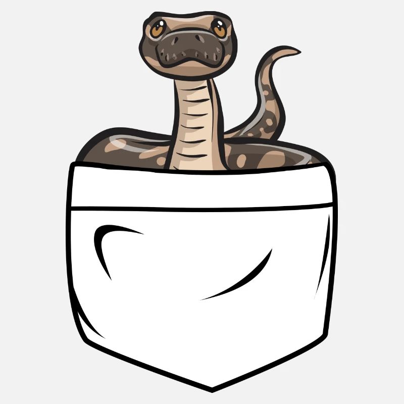 Ball Python Schlange Königspython