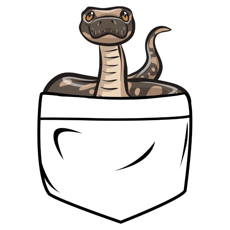 Ball Python Snake King Python