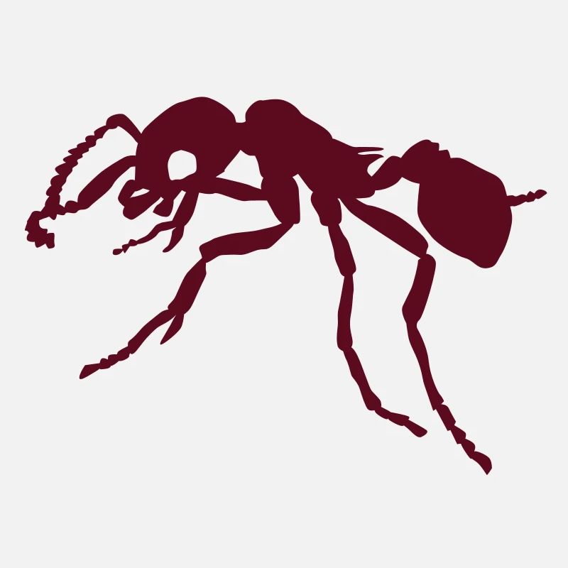 Ant