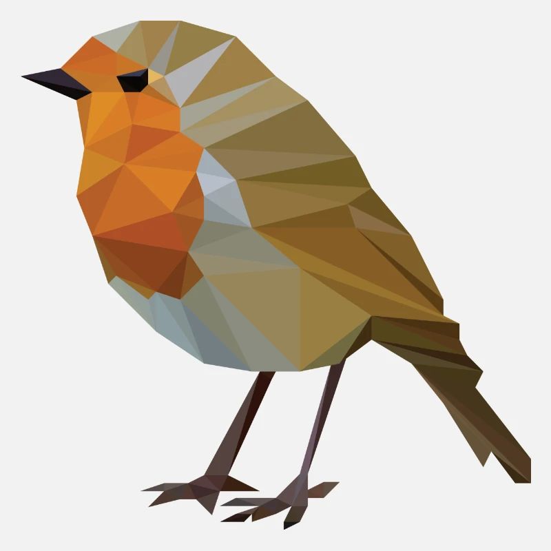 Rotkehlchen Polygonal Vogelkunde