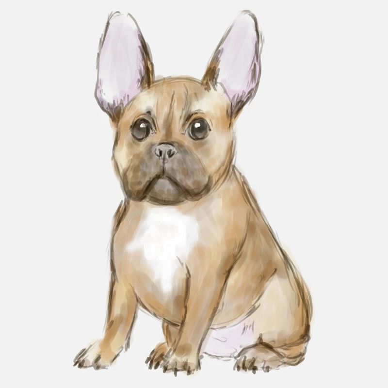 Adorable chiot bouledogue français