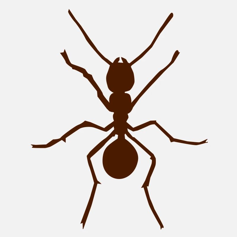 Ameise - Ant