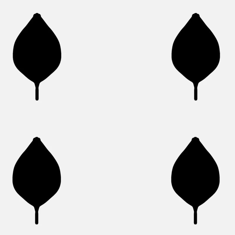 vier Blätter blatt natur muster