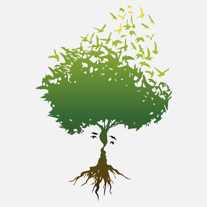 Der Baum der Freundschaft
