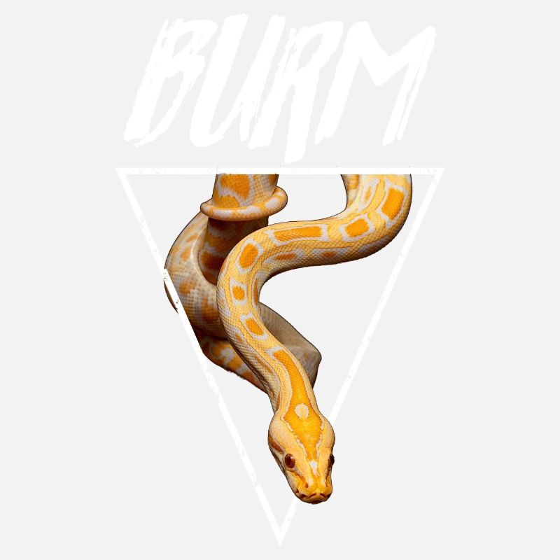 Albino Burmese Python Snake Owner