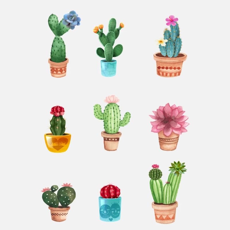 Cactus