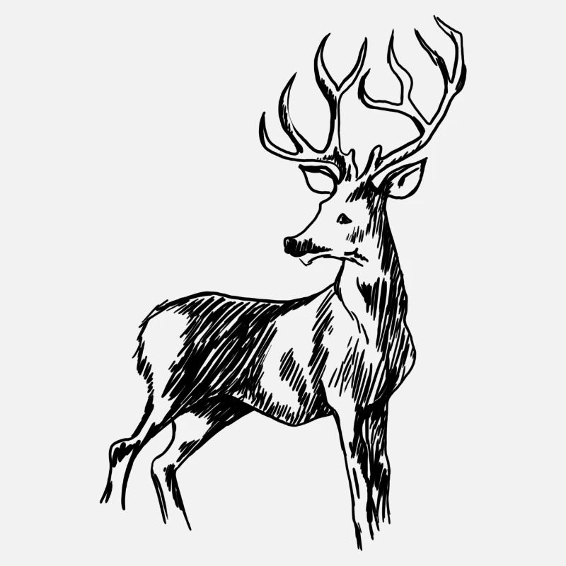 Hirsch