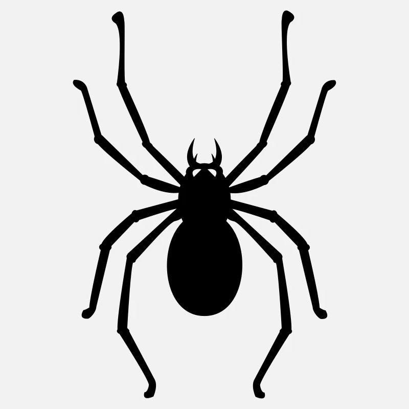 Spinne