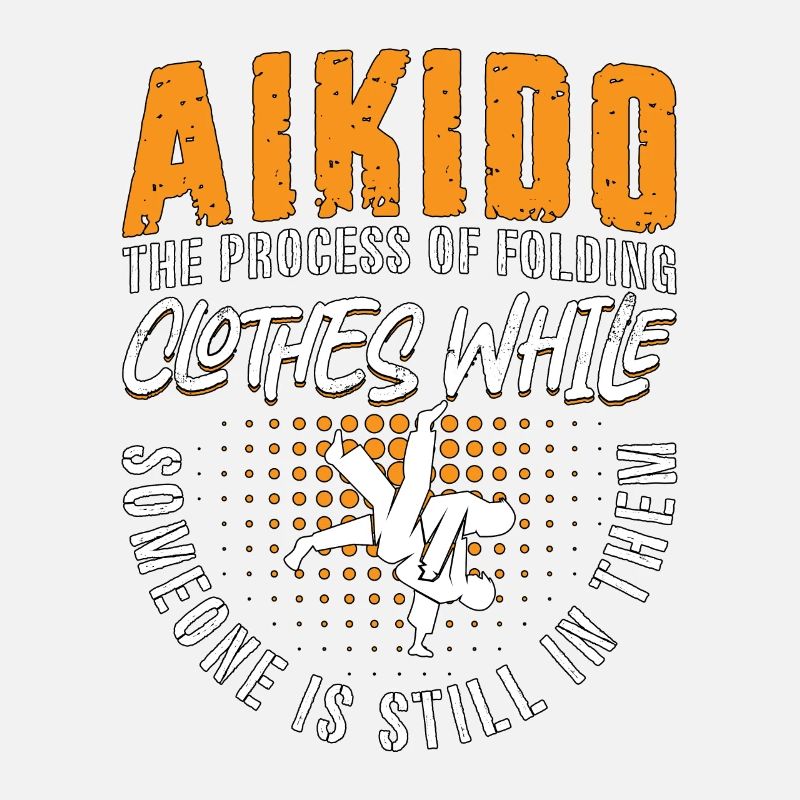 Aikido Le Processus Combattant Arts Martiaux Samouraï