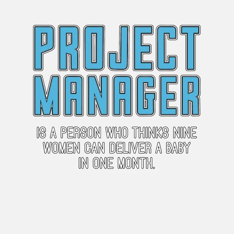 Chef de projet Gestion de projet Chef d’équipe