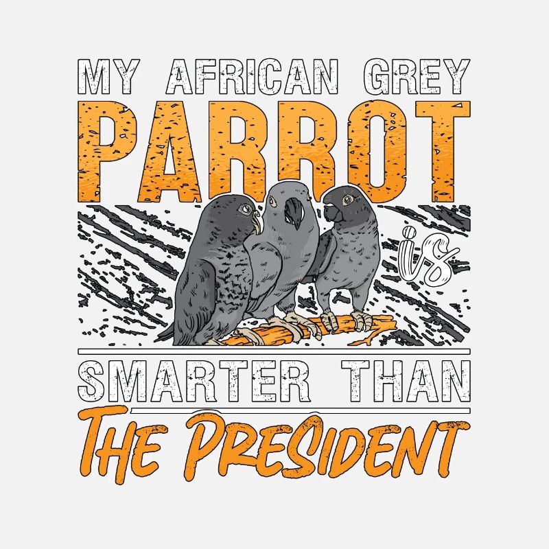 My African Grey Parrot Is Birdwatcher African Grey