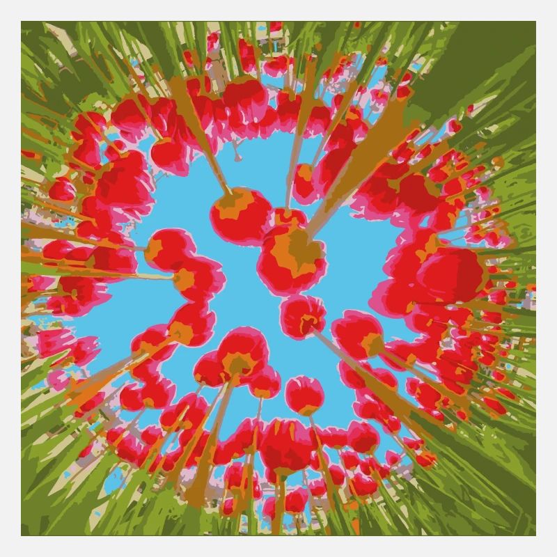 TULIPES
