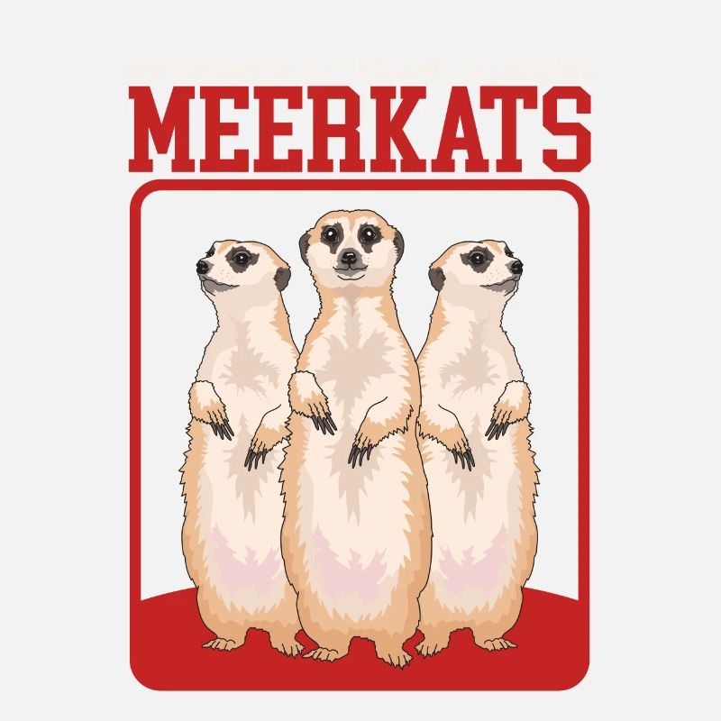 Erdmännchen coole Erdmännchen