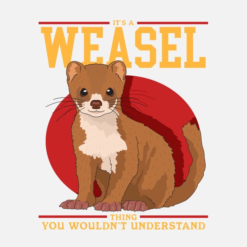 Weasel Mouse Weasel Small Weasel Gift