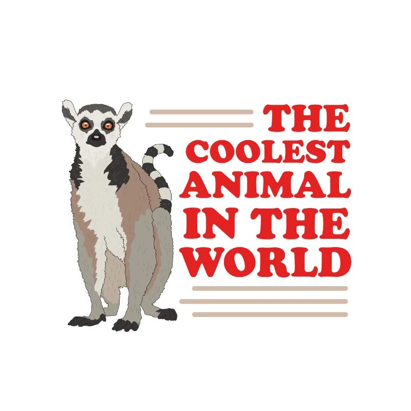 Lemur Ringed lemur lemur curly tail lemure gift