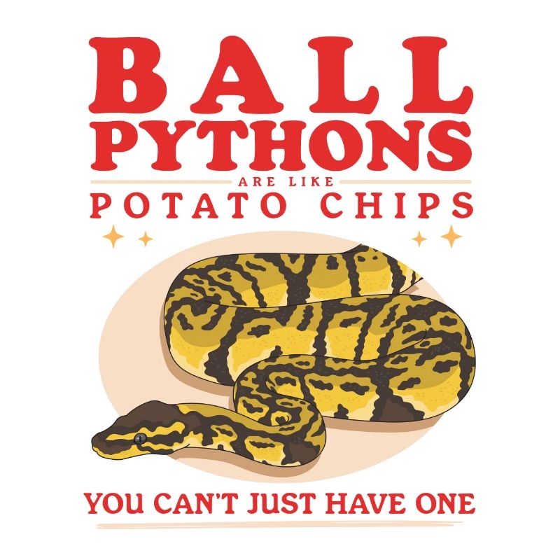 Roi Python Python Serpent Cadeaux