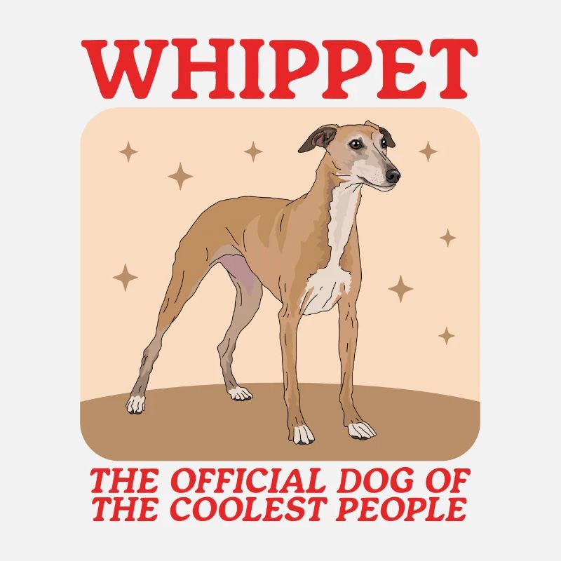 Whippet Lévrier anglais Cadeau